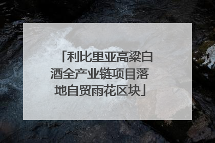 利比里亚高粱白酒全产业链项目落地自贸雨花区块